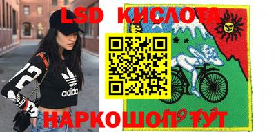 сатива Заводоуковск