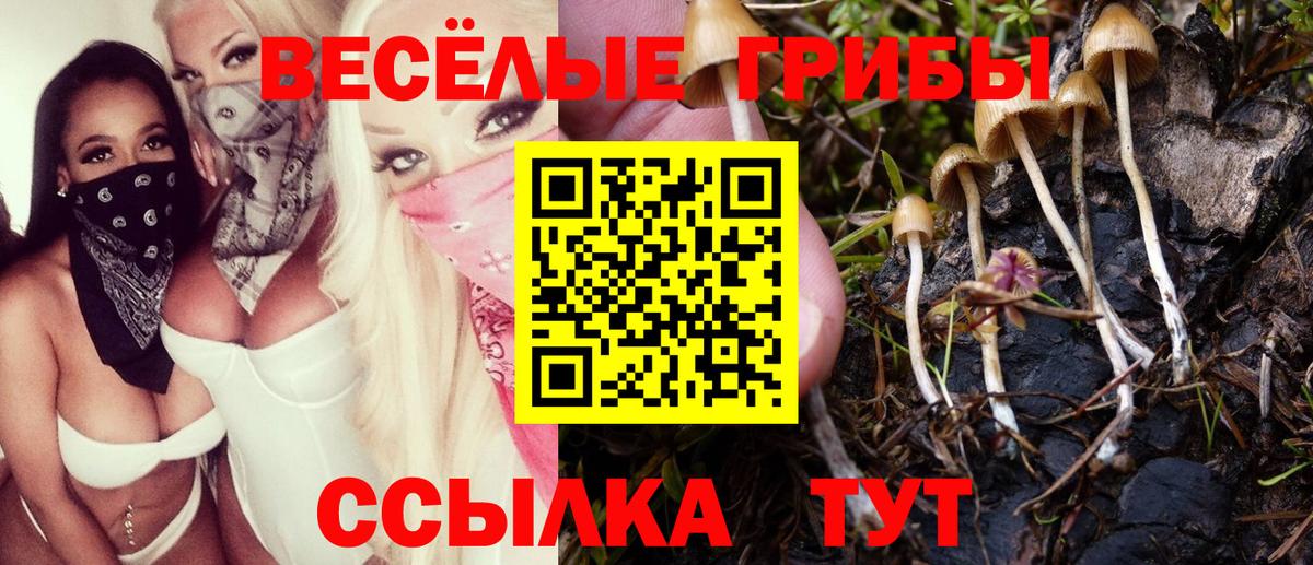 Бугуруслан  Галлюциногенные грибы Psilocybine cubensis  Вход с VPN 